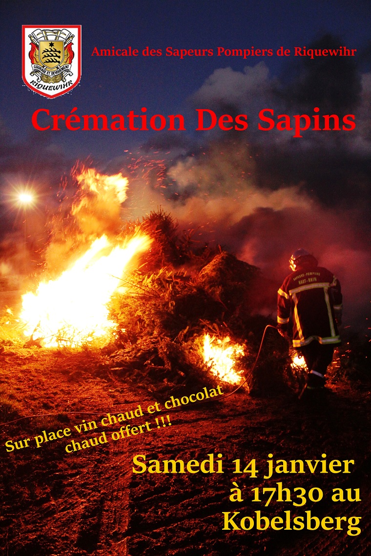 Crémation des sapins